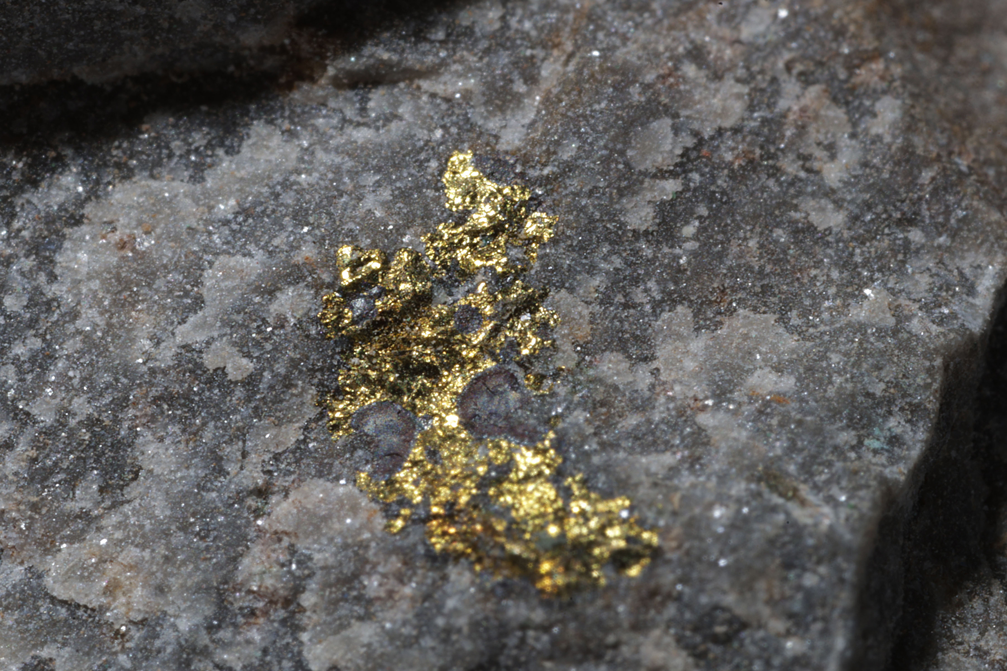 CMR Limestone Sample